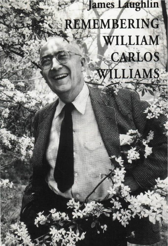 Уильям карлос уильямс. William Carlos Williams. Уильям Карлос Уильямс стихи.