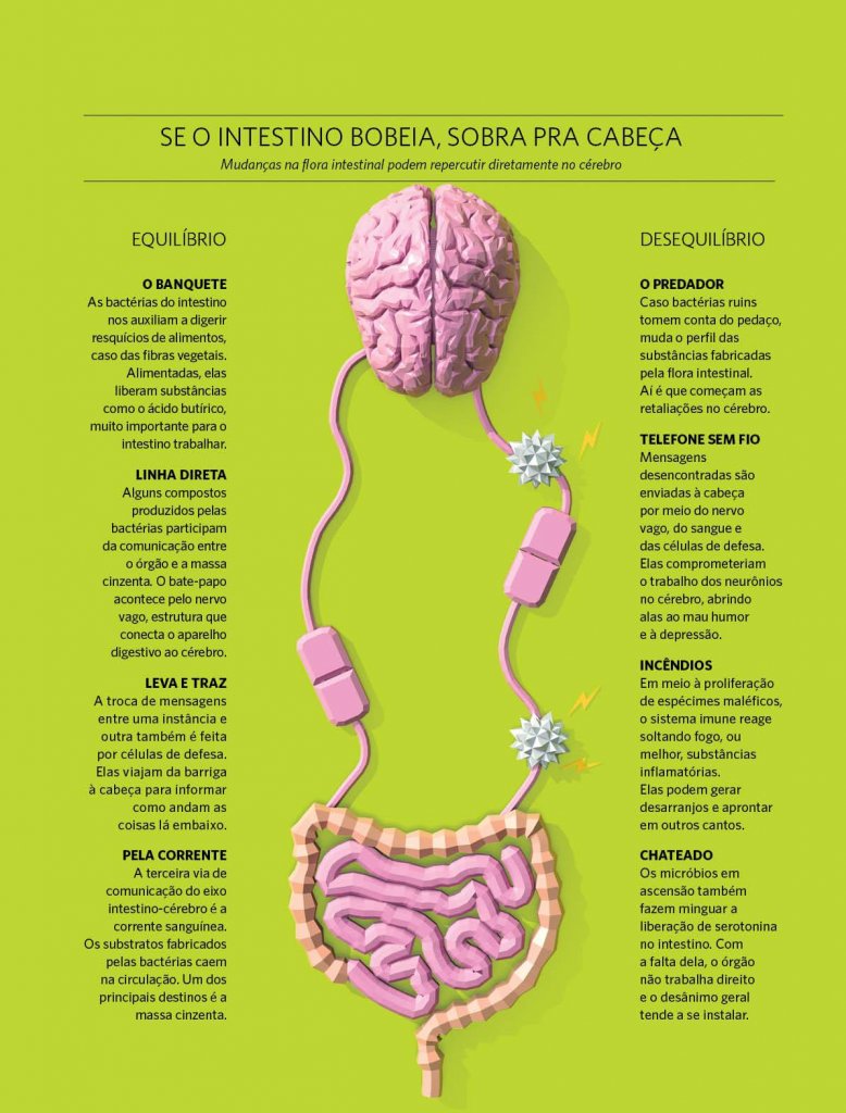 A Incrível Conexão Cérebro Intestino Revista Prosa Verso E Arte 5230