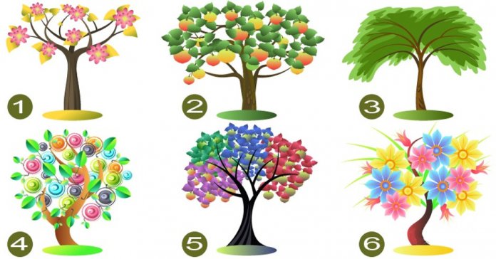 Escolha uma árvore e descubra os traços dominantes de sua personalidade