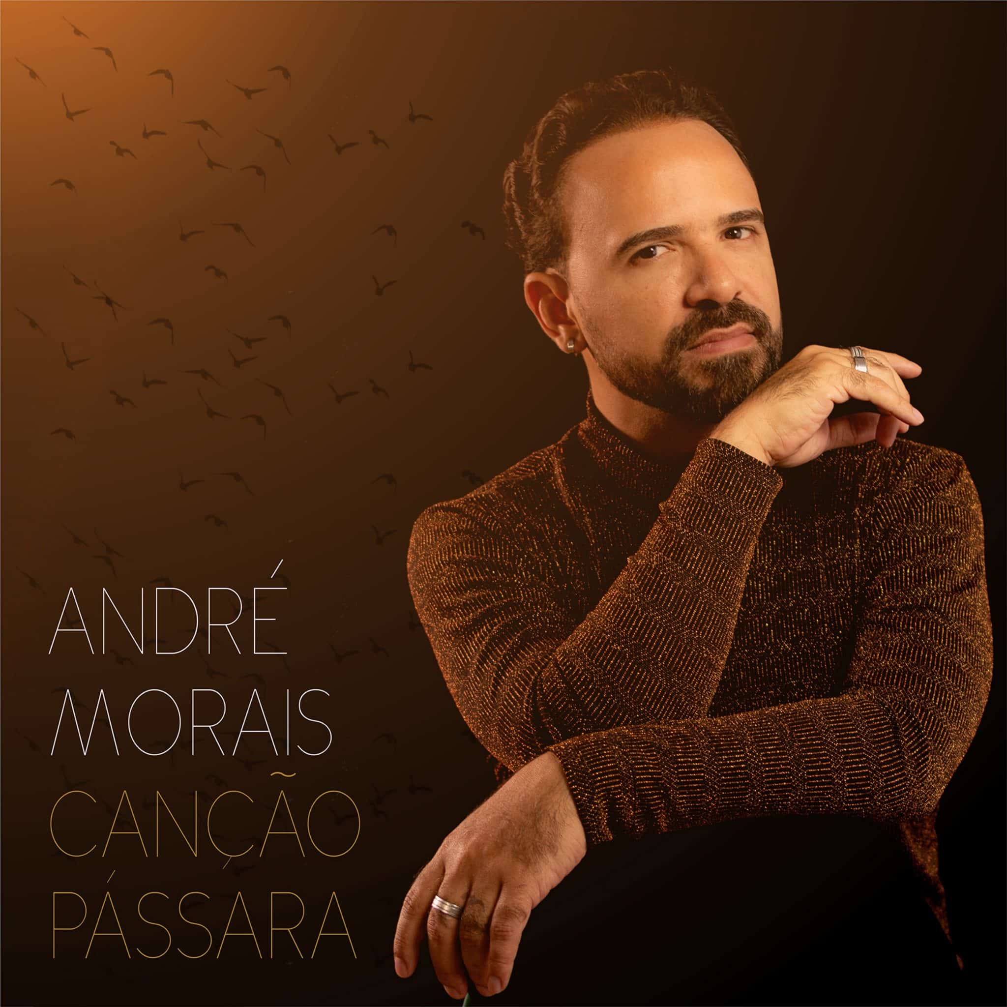revistaprosaversoearte.com - André Morais, multi-artista paraibano, lança o single 'Canção Pássara'