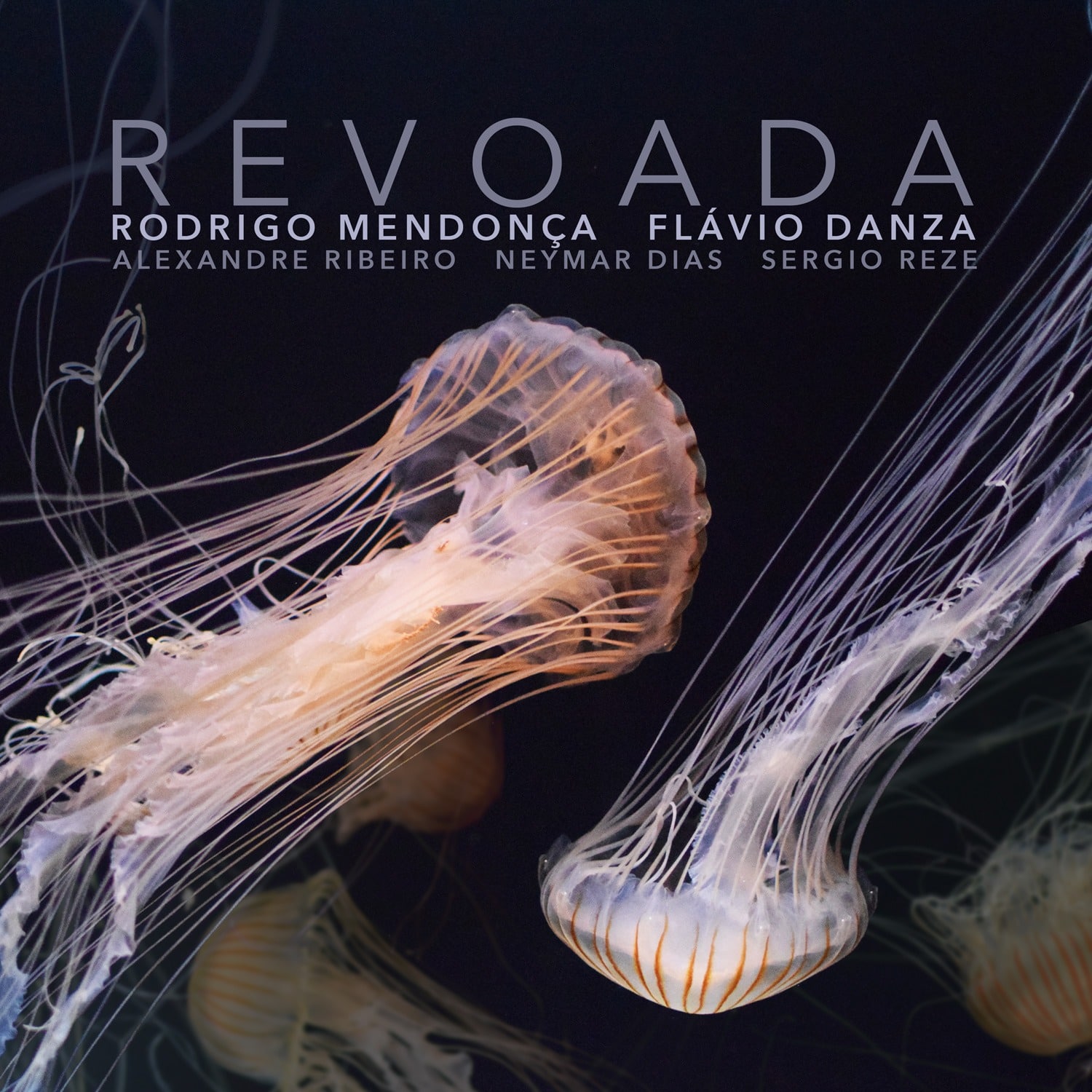revistaprosaversoearte.com - Duo Rodrigo Mendonça e Flávio Danza lançam álbum audiovisual 'Revoada'