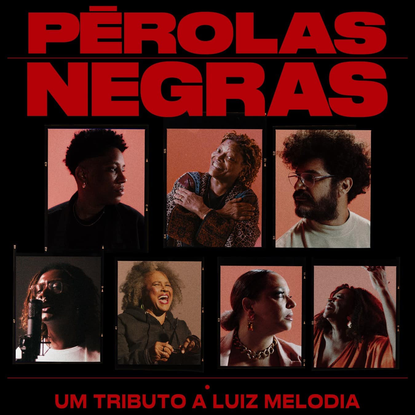 revistaprosaversoearte.com - Álbum 'Pérolas Negras – Um Tributo a Luiz Melodia'