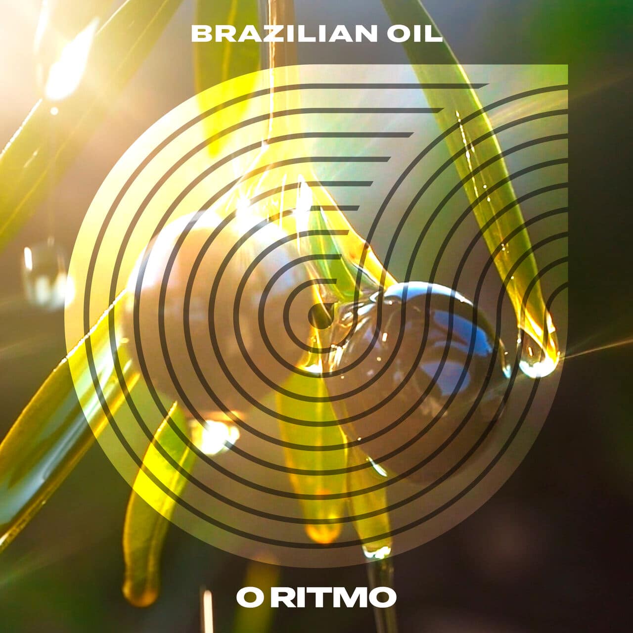 revistaprosaversoearte.com - Rodrigo Sha lança álbum 'Brazilian Oil - O Ritmo'