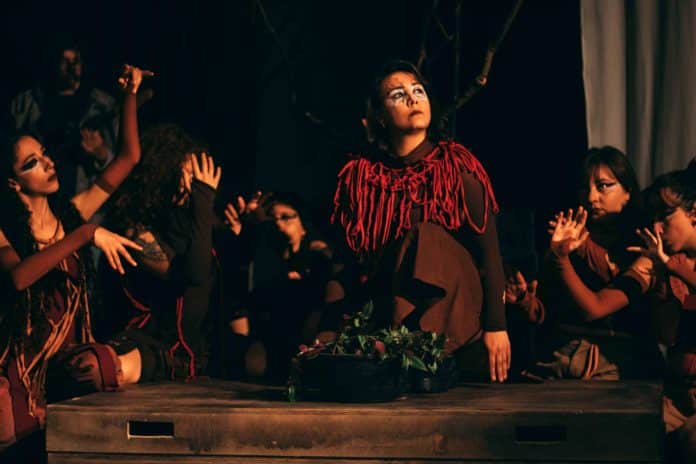 Grupo Pandora de Teatro estreia o espetáculo “Devastação Hécuba” sobre o contexto da atual crise ambiental brasileira