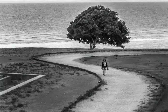 CCBB São Paulo recebe a exposição ‘Vetores-Vertentes: Fotógrafas do Pará’